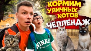 КОРМИМ УЛИЧНЫХ КОТОВ | ИСТОРИИ ПРО  КОТОВ ПЕТЕРБУРГА