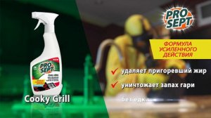 Cooky Grill  для удаления пригоревших жиров и нагара