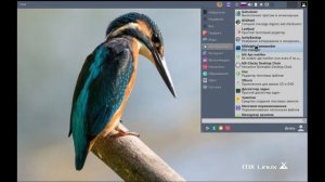 Пару слов про MX LINUX 16.1