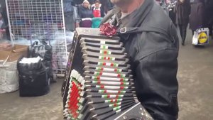 Гармошка простой талантливый мужик