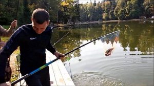 Ловля осетра, поимки на нижнем. Итог суточной рыбалки. Клёвое место, Лосиный остров