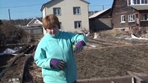 Подготовка органической траншеи для малины. Перенос малины на новое место. Кольцова Ирина