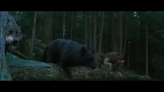 Сумерки - Все части (Twilight) - трейлер смотреть онлайн