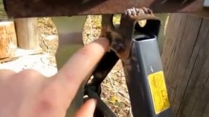 Как сделать пилораму самому за 5000 рублей