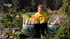 Красивый сад без сорняков. Мульчирование почвы