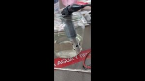 Limpieza profunda de solenoide VANOS BMW N52 borra el error 2A82