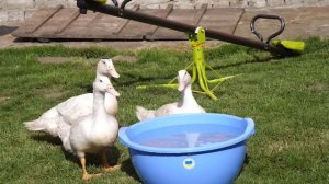 VLOG Матвейка уезжает