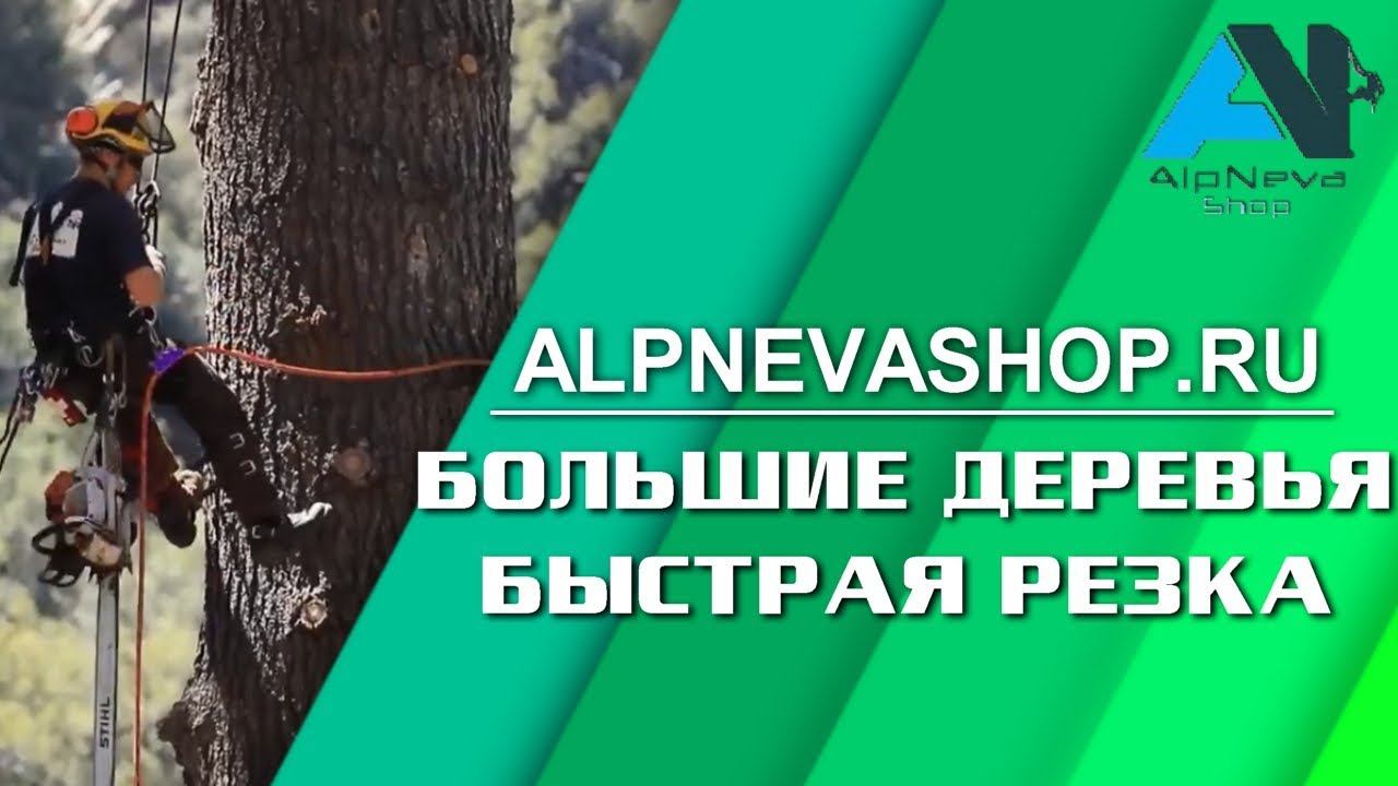Рубка больших деревьев с помощью длинных цепных пил