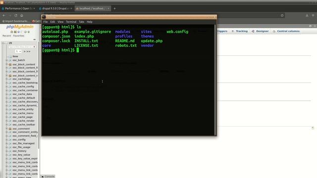 Drupal 9 - How to update Drupal core