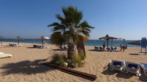 Отдых в ОАЭ! Фуджейра. Купаемся в Индийском океане! Шведский стол в отеле Sandy Beach.