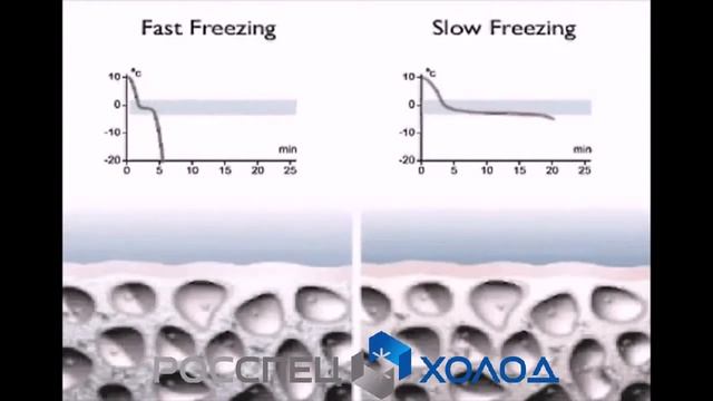 Шоковая заморозка - что это? Обучающее видео смотреть онлайн