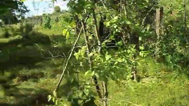 деревенские сады и огороды смотреть онлайн