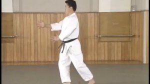 Seiza Ho Сейза Хо Ёсинкан айкидо