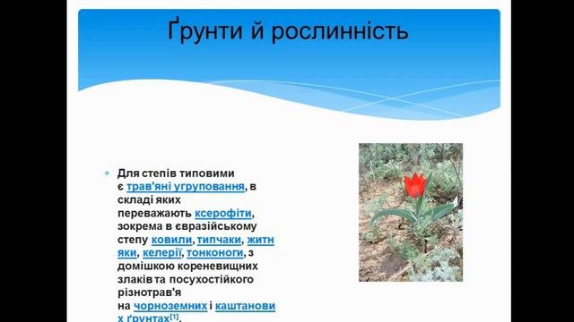 степ