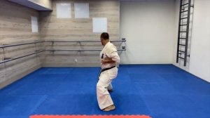 Ката Татэ Пинан Соно Го