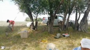 Алгабас. Лето цвета счастья...