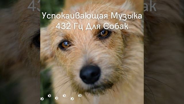 Время воспроизведения