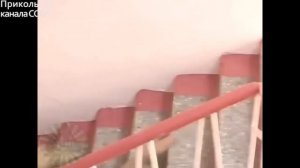 Как быстро спускаться по лестницам?) Специальные методики...