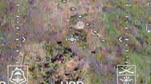 Уничтожение пехоты ВСУ FPV-дронами на Запорожском напр/Strikes at the AFU militants by FPV drones