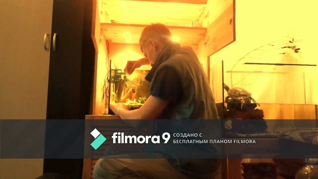 Запуск аквариума. День седьмой. Обслуживание. смотреть онлайн