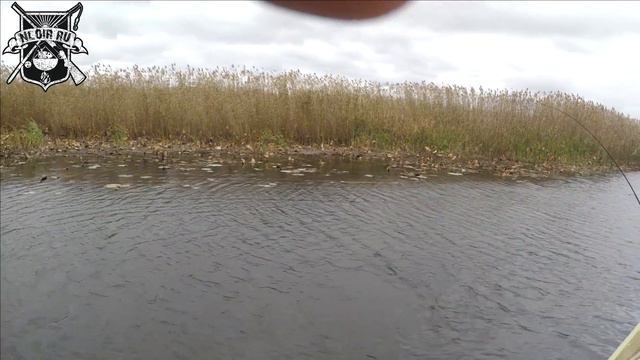 Рыбалка Астрахань. Рыбачим. 2018. Ловим Щуку. nloirlife смотреть онлайн