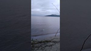 Море хочу на море там так прикольно и так свежо...