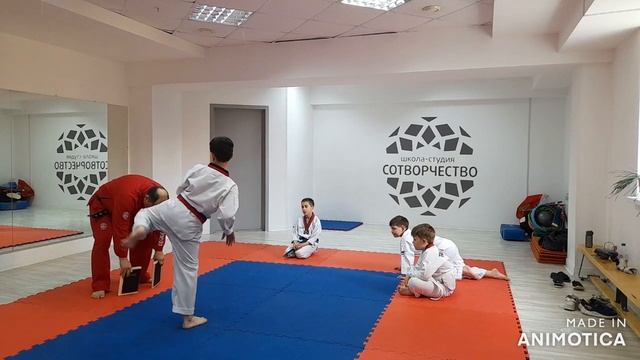 как правильно разбивать доски(1 урок) #taekwondo #тхэквондо