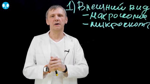 Методы определения химического состава камней смотреть онлайн