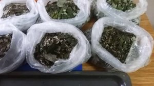 Пошаговый  рецепт  приготовления  ферментированного малинового чая!?