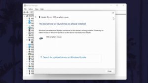 How to Update Mouse Drivers on Windows 11 PC