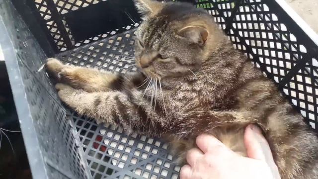 Славянск. 27 апреля 2023г. Вечер. смотреть онлайн