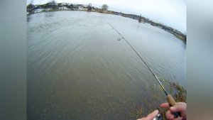 Рыбалка на Чусовой и Дарье в Староуткинске поздней осенью. Голавли и хариусы не клевали.