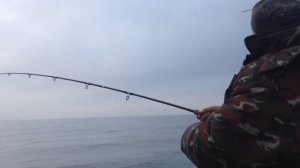 Ловля трески в Балтийском море. Калининград.