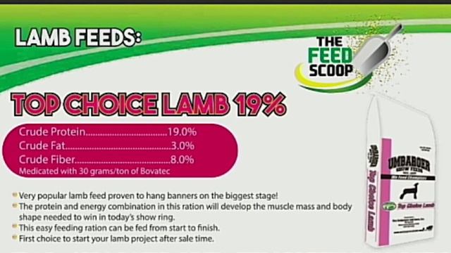 Umbarger Show Feed Lamb fixed смотреть онлайн