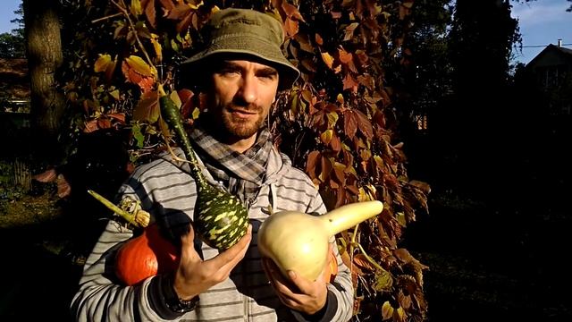 Ботанико-познавательный репортаж про лагенарии смотреть онлайн