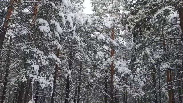 Благословенного дня!