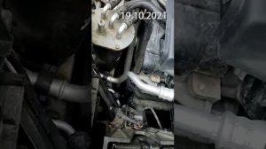 Шуршащий ГРМ в дизельном Шкода Кодиак. Пробег 35к.