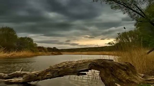 Высоцкий Две судьбы Нелёгкая с кривою YouTube 2 смотреть онлайн