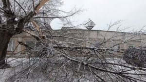 Какая Погода в Киеве? Да просто заштормило и завалило мокрым снегом. 13.12.2018