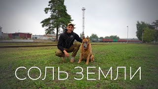 Соль земли. Мы в ответе за тех, кого приручили