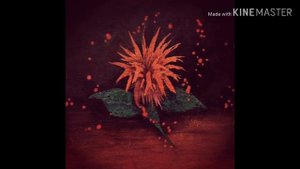 Коста Лакоста - Не шукай