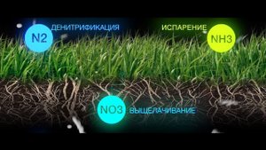 Внесение безводного аммиака в почву