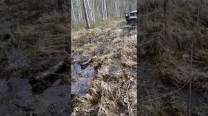 Испытания лебёдки Electric Winch 12000