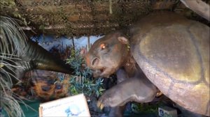 Парк динозавров Сочи.