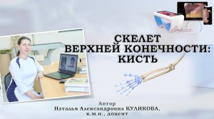 СТРОЕНИЕ СКЕЛЕТА КИСТИ.