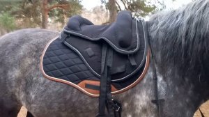 Опыт использования седла-пада на лошади. Как нам "повезло" с аммуницией. Всё порвалось