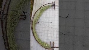 Как поймать живую куропатку, фазана утку и др птиц.