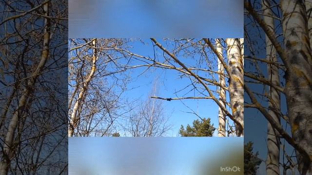 Познавательное развитие старший возраст смотреть онлайн