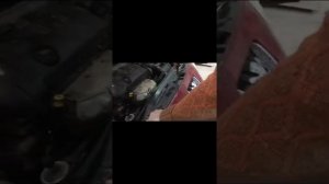 Пежо 308 замена своими руками лампы светодиодные H7 ближний Свет