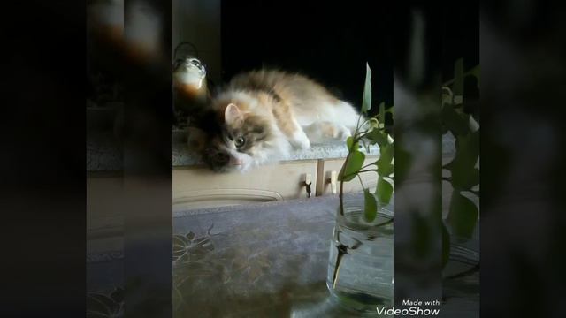 СОХРАНЯЮ ИЛЛЮЗИЮ НЕРУКОТВОРНУЮ ✌ НАХЛЫНУЛИ ВОСПОМИНАНИЯ ОТ ДУШИ 💓💓💓